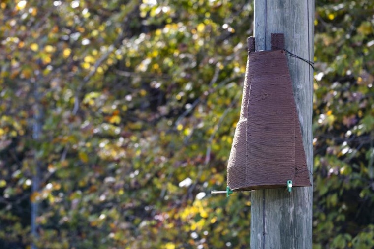 ORNL Researchers Innovate in Wildlife Conservation with 3D-Printed, Bioderived Bat Roosts