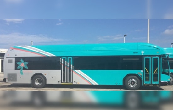 Palm Tran Halts Transit Services in Palm Beach County Ahead of Hurricane Milton