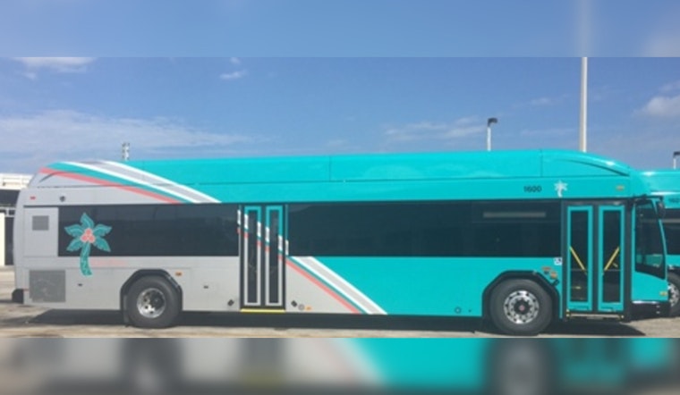 Palm Tran Halts Transit Services in Palm Beach County Ahead of Hurricane Milton
