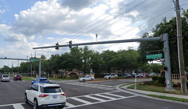 Pedestrian Fatally Struck by Van in Wesley Chapel Amid Traffic Signal Disobedience