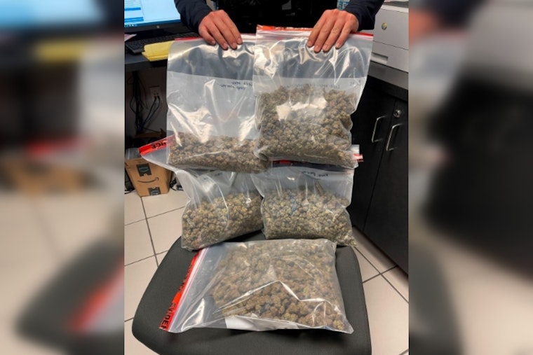Pembroke Pines Police Seize Over Three Pounds of Cannabis and Firearm from West Park Man During Traffic Stop