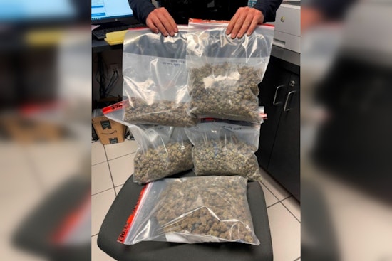 Pembroke Pines Police Seize Over Three Pounds of Cannabis and Firearm from West Park Man During Traffic Stop