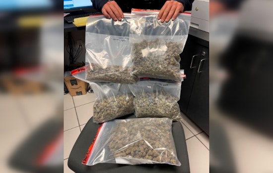 Pembroke Pines Police Seize Over Three Pounds of Cannabis and Firearm from West Park Man During Traffic Stop