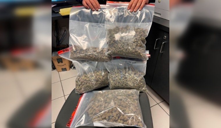 Pembroke Pines Police Seize Over Three Pounds of Cannabis and Firearm from West Park Man During Traffic Stop