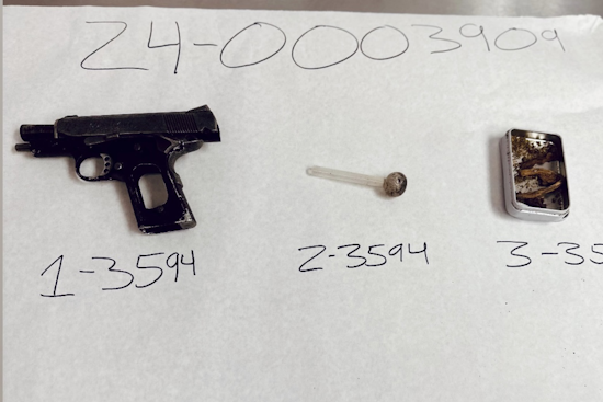 Petaluma Disturbance Leads to Arrest of Armed Convicted Felon