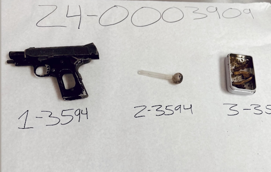 Petaluma Disturbance Leads to Arrest of Armed Convicted Felon