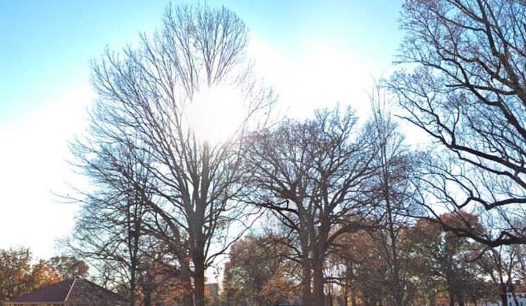 Philadelphia to Enjoy Warm and Sunny Halloween, Bracing for a Mildly Breezy Evening
