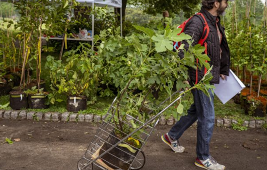 Philadelphia’s TreePhilly Program Offers Free Yard Trees to Residents, Register Now for Environmental Stewardship
