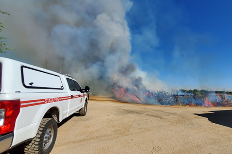 Phoenix and Arizona Forestry to Conduct Controlled Burn in Tres Rios Wetlands for Habitat Restoration