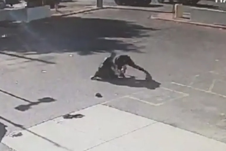 Phoenix Fury as Deaf Man with Cerebral Palsy Beaten by Police and Charges Dropped Amid Calls for Justice