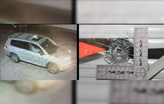 Phoenix Man Charged with Terrorism After Allegedly Targeting Tempe DNC Office and Amassing Weapons Cache