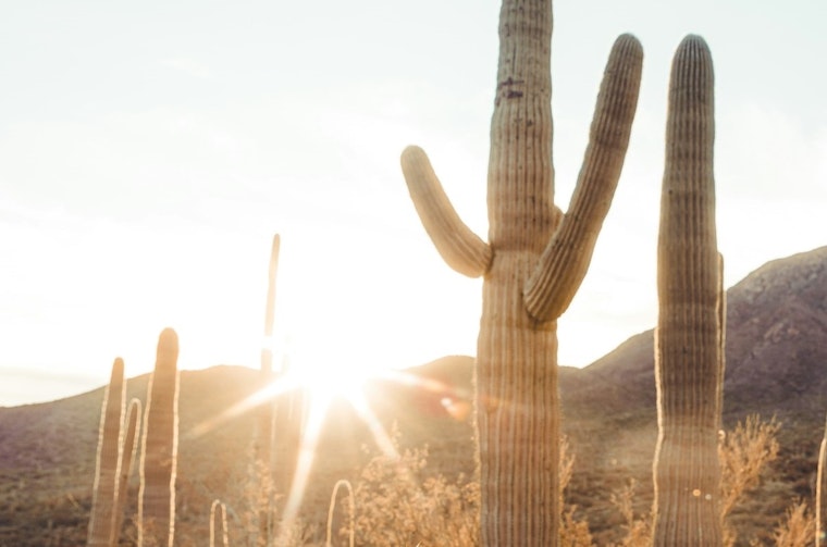 Phoenix Set for a Week of Sunshine with Steady 100+ Temperatures