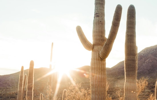 Phoenix Set for a Week of Sunshine with Steady 100+ Temperatures