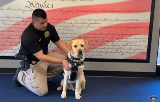 Pierce County's Wellness Dog Everest Inspires Healthier Habits in Law Enforcement and Beyond
