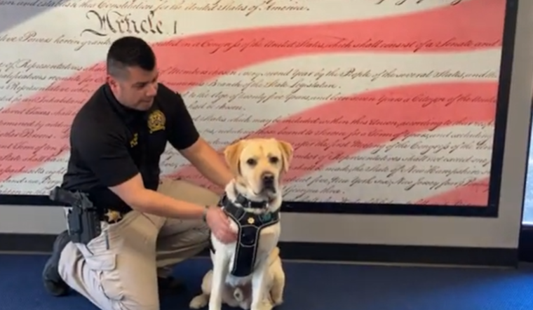 Pierce County's Wellness Dog Everest Inspires Healthier Habits in Law Enforcement and Beyond