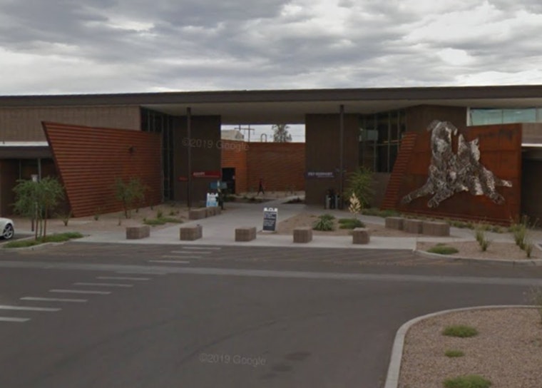 Pima Animal Care Center's Snip ‘n’ Tip Event to Offer Free Feline Spay and Neuter Services in Tucson