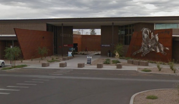 Pima Animal Care Center's Snip ‘n’ Tip Event to Offer Free Feline Spay and Neuter Services in Tucson