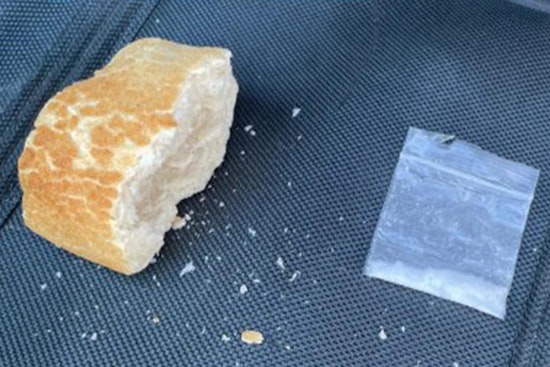 Placer County Sheriff's K9 Sniffs Out Meth Hidden in Sourdough Loaf, Two Arrested in North Auburn