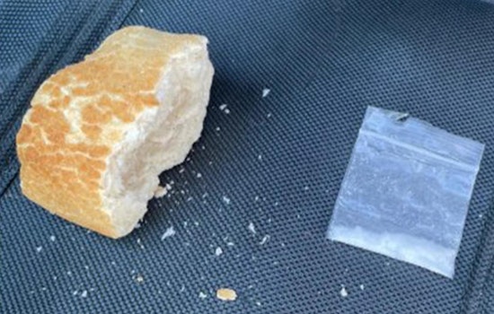 Placer County Sheriff's K9 Sniffs Out Meth Hidden in Sourdough Loaf, Two Arrested in North Auburn