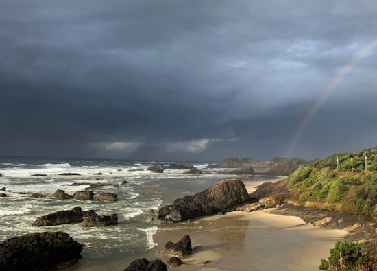 Portland Braces for Persistent Rain, From Light Showers to Thunderstorms, Wet Weather Sets In