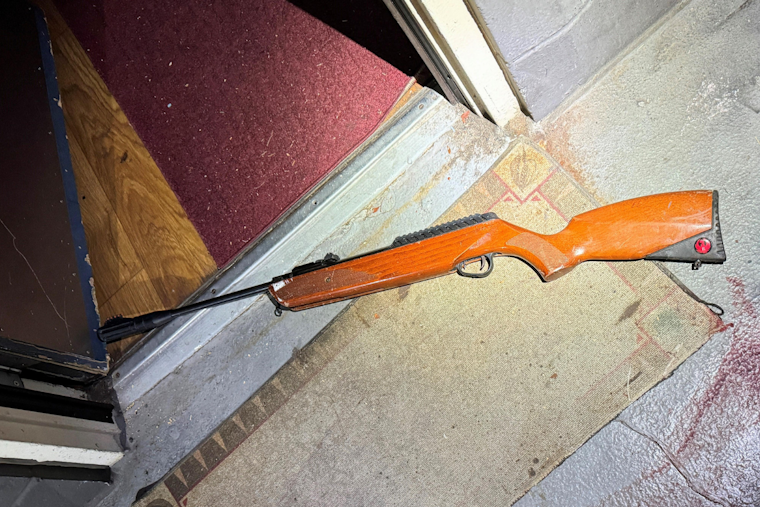 Portland Police Fatally Shoot Man Allegedly Armed with Air Rifle in Brentwood-Darlington Standoff