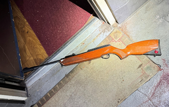Portland Police Fatally Shoot Man Allegedly Armed with Air Rifle in Brentwood-Darlington Standoff
