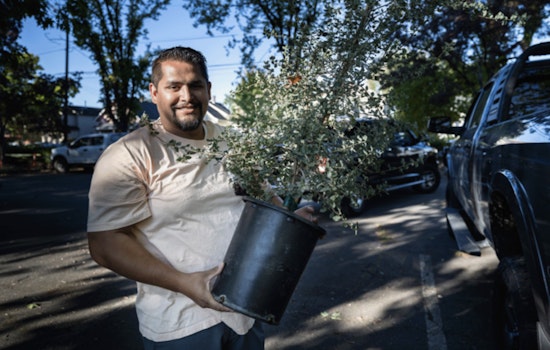 Portland Ups the Ante on Urban Canopy with 3,000 Free Trees for Local Residents