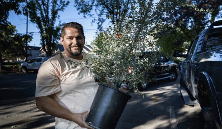Portland Ups the Ante on Urban Canopy with 3,000 Free Trees for Local Residents