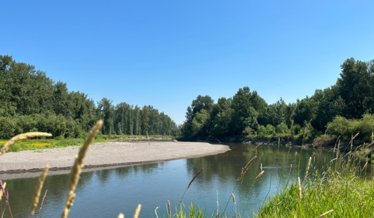 Portland's October Weather, Sunny Days Ahead with Crisp Evenings, Chance of Showers to Pack an Umbrella For