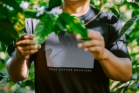 Press Coffee Expands with Acquisition of Panama Coffee Farm, Promises Unique Flavors in Phoenix Shops