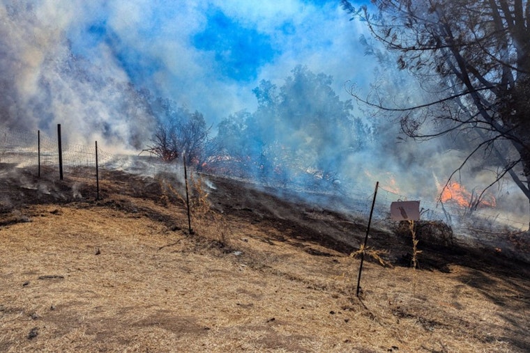 Quick Response by Firefighters Saves Local Structures from Blaze in El Dorado County