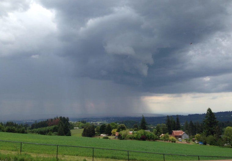 Rain Showers to Drench Portland Throughout the Week, NWS Advises Adjusting Outdoor Plans