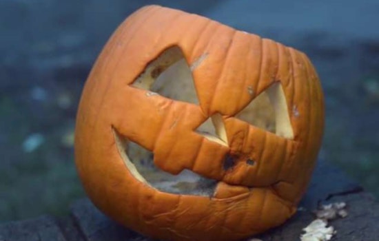Raleigh Encourages Sustainable Post-Halloween Practices, Compost Your Pumpkins and Recycle Batteries