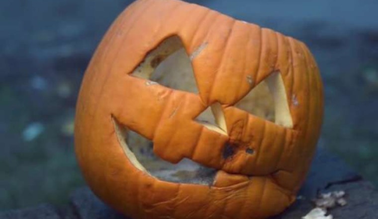 Raleigh Encourages Sustainable Post-Halloween Practices, Compost Your Pumpkins and Recycle Batteries