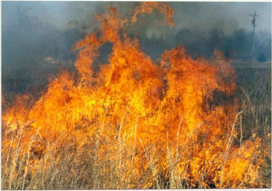 Red Flag Warning Issued for 85 Minnesota Counties as Fire Danger Escalates