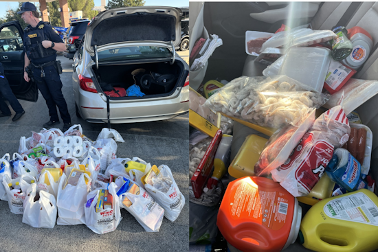 Richmond Duo Apprehended in Vacaville for Theft Over $1,250 and Suspected Identity Theft Plans