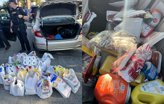 Richmond Duo Apprehended in Vacaville for Theft Over $1,250 and Suspected Identity Theft Plans