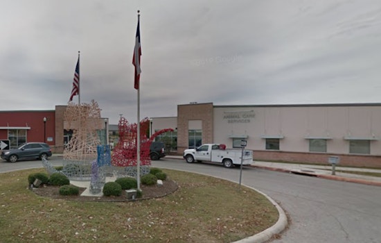 San Antonio Appoints Jonathan Gary as New Animal Care Services Leader