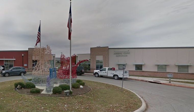 San Antonio Appoints Jonathan Gary as New Animal Care Services Leader