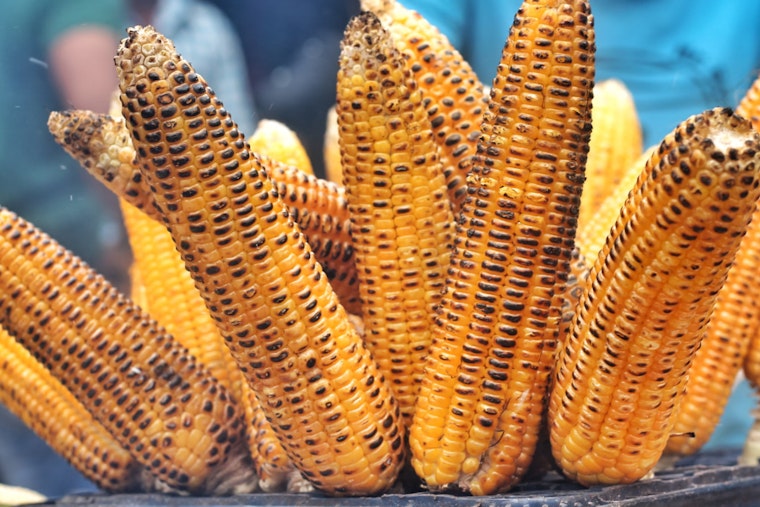 San Antonio Celebrates Corn's Culinary Heritage with Third Annual "Pueblos del Maiz" Festival