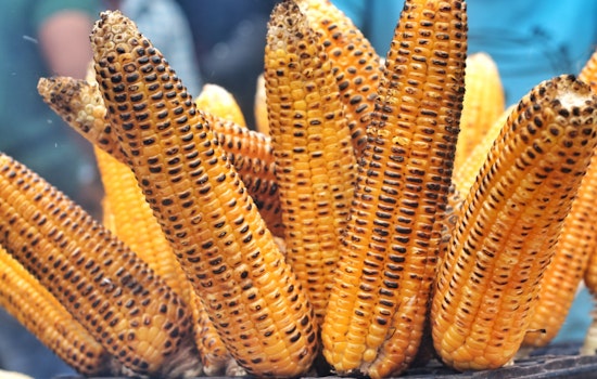 San Antonio Celebrates Corn's Culinary Heritage with Third Annual "Pueblos del Maiz" Festival