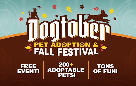 San Antonio's Largest Pet Adoption Event, The Dogtober Fall Festival Unleashes Fun & Adoption Opportunities on Oct 26