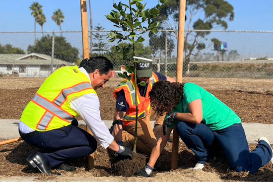 San Diego Celebrates Planting of 1,000th Tree in San Ysidro Under Urban Greening Initiative