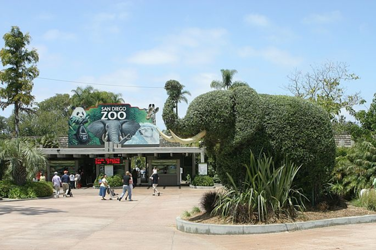 San Diego Zoo Partners with Nintendo for Pikmin-Themed Scavenger Hunt Adventure
