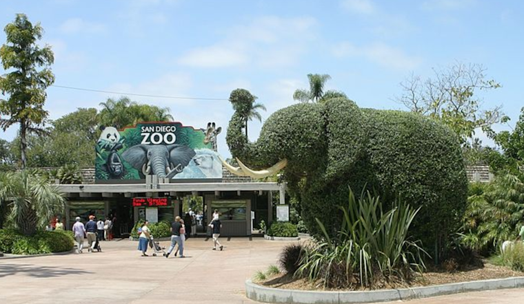 San Diego Zoo Partners with Nintendo for Pikmin-Themed Scavenger Hunt Adventure
