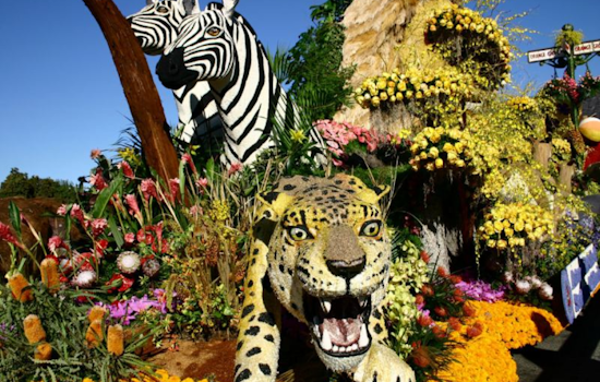 San Diego Zoo Wildlife Alliance Brings Conservation to Life with Enchanting Rose Parade Float Featuring Giant Pandas