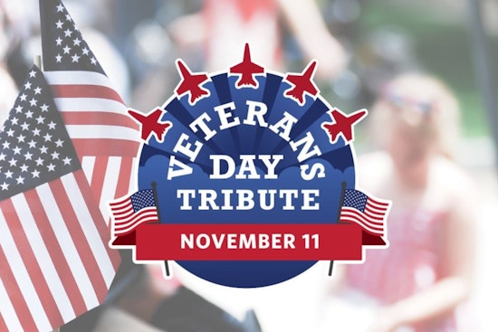 Sandy Springs Celebrates 15th Annual Veterans Day with Art and Keynote by Retired USMC Colonel McDonough