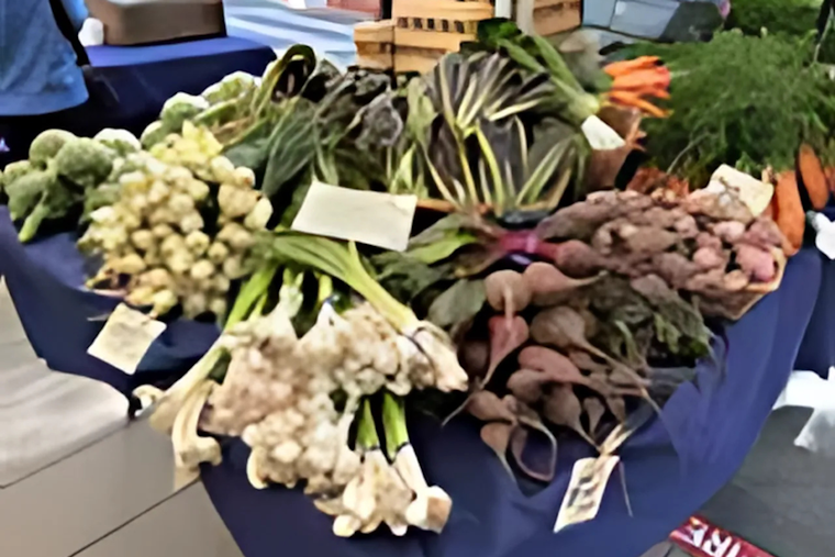 Santa Clara County's Ag Sector Grows to $371.5M, Nursery Crops Lead as Tech Innovation Boosts Sustainability