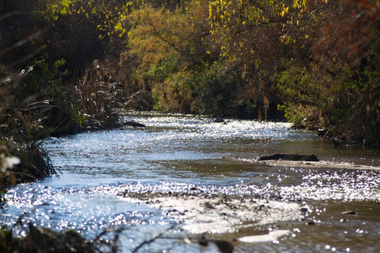 Santa Cruz River's Decade of Restoration Yields Ecological Triumphs in Pima County and Tucson