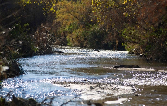 Santa Cruz River's Decade of Restoration Yields Ecological Triumphs in Pima County and Tucson